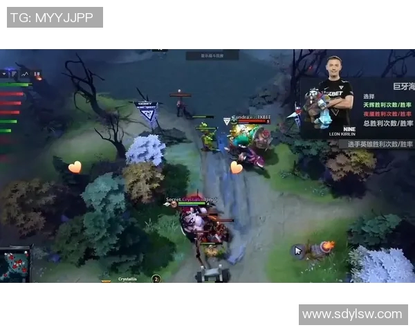 dota2观看比赛战旗-战旗之下，Dota2比赛的热血激情-dota2观看比赛战旗